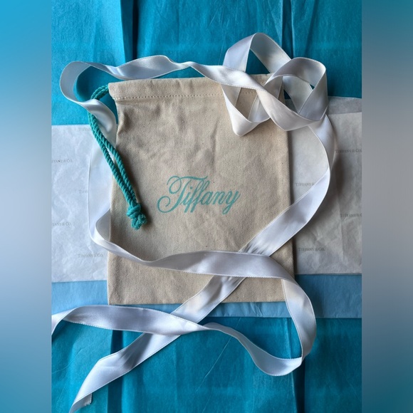✏️ TIFFANY & CO. X CARAN D’ACHE PENCILS & NOTEBOOK & POUCH BUNDLE ✏️ NWT ✏️ - Picture 7 of 16